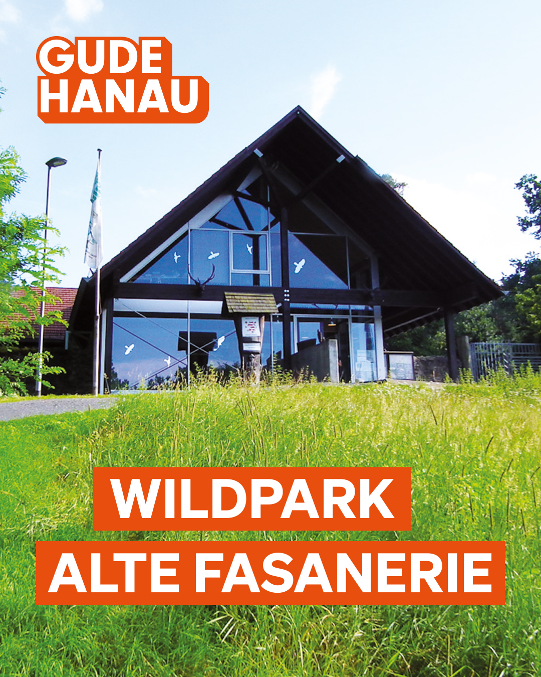 Gude Hanau Wildpark Alte Fasanerie Kinder Familien